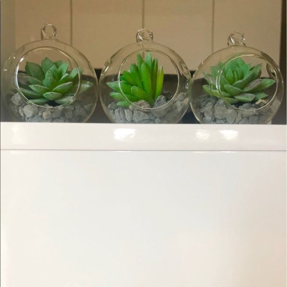 Set of 3 succulent terrariums - Picture 14 of 16